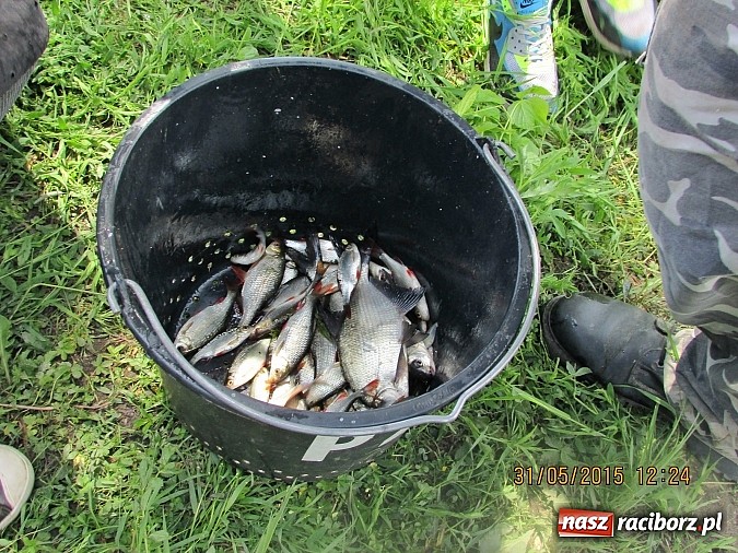 Zdjęcie w galerii na portalu naszraciborz.pl: Wędkarski Dzień Dziecka na łowisku Ostróg wiadomości z regionu