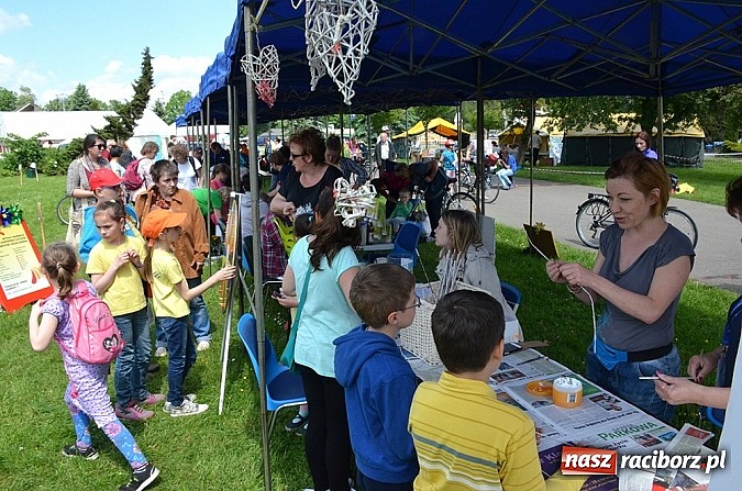 Zdjęcie w galerii na portalu naszraciborz.pl: Finał konkursu EkoAktywni 2015 wiadomości z regionu