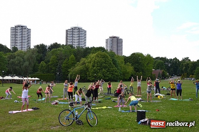 Zdjęcie w galerii na portalu naszraciborz.pl: Finał konkursu EkoAktywni 2015 wiadomości z regionu