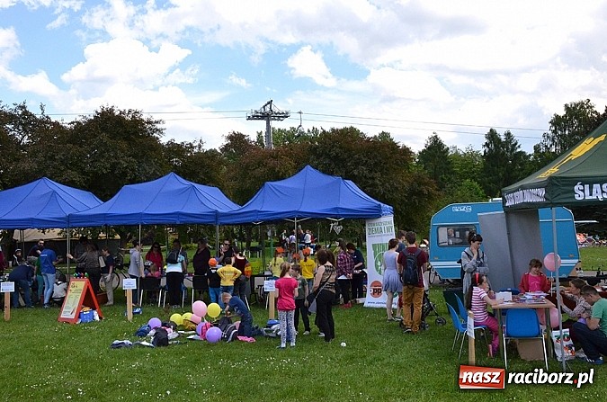Zdjęcie w galerii na portalu naszraciborz.pl: Finał konkursu EkoAktywni 2015 wiadomości z regionu