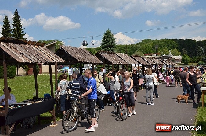 Zdjęcie w galerii na portalu naszraciborz.pl: Finał konkursu EkoAktywni 2015 wiadomości z regionu