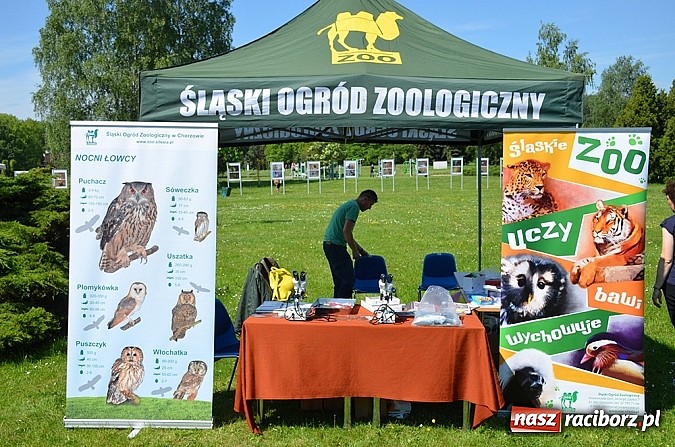 Zdjęcie w galerii na portalu naszraciborz.pl: Finał konkursu EkoAktywni 2015 wiadomości z regionu