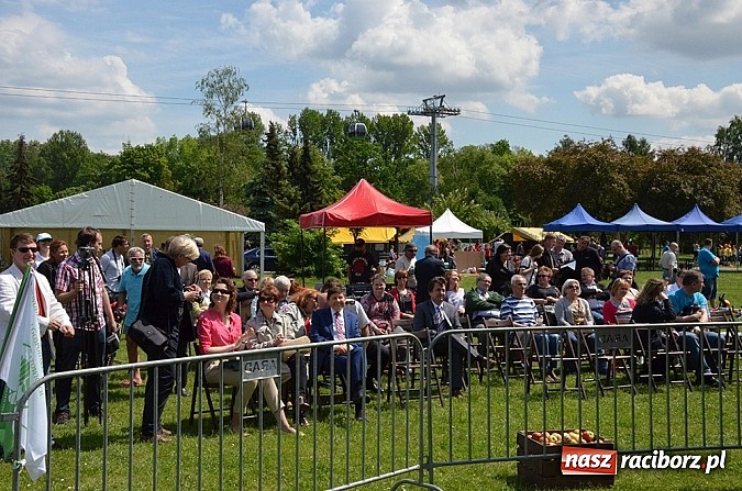Zdjęcie w galerii na portalu naszraciborz.pl: Finał konkursu EkoAktywni 2015 wiadomości z regionu