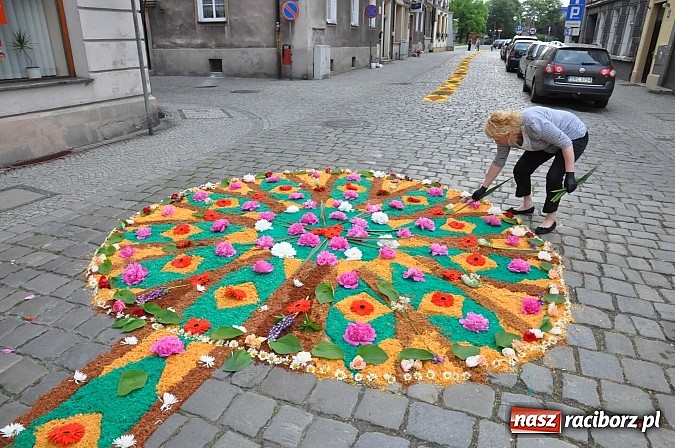 Zdjęcie w galerii na portalu naszraciborz.pl: Skoro świt ruszyli do pracy. Zobacz jak powstają raciborskie kwietne dywany na Boże Ciało wiadomości z regionu