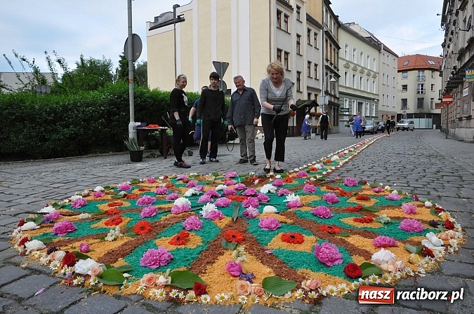Zdjęcie w galerii na portalu naszraciborz.pl: Skoro świt ruszyli do pracy. Zobacz jak powstają raciborskie kwietne dywany na Boże Ciało wiadomości z regionu