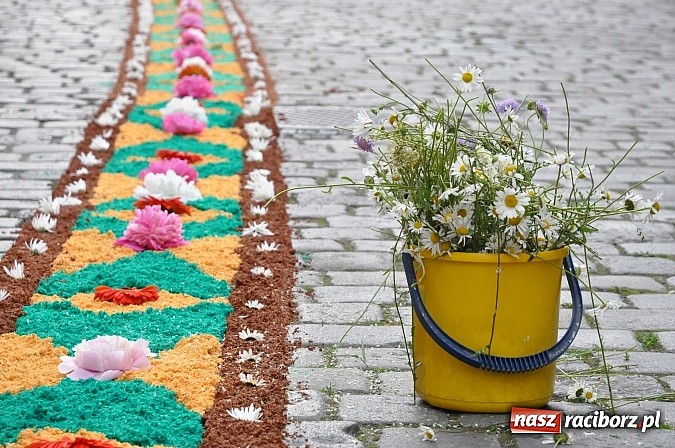 Zdjęcie w galerii na portalu naszraciborz.pl: Skoro świt ruszyli do pracy. Zobacz jak powstają raciborskie kwietne dywany na Boże Ciało wiadomości z regionu