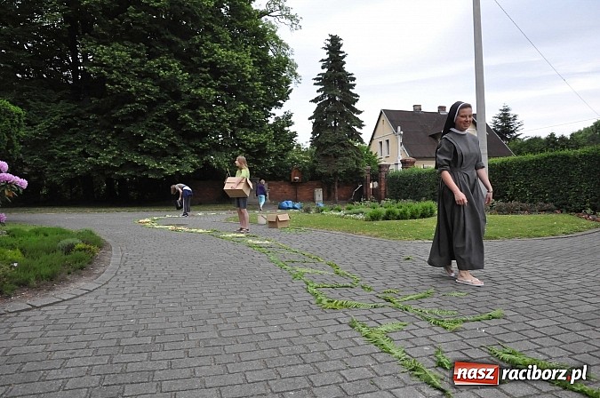 Zdjęcie w galerii na portalu naszraciborz.pl: Skoro świt ruszyli do pracy. Zobacz jak powstają raciborskie kwietne dywany na Boże Ciało wiadomości z regionu
