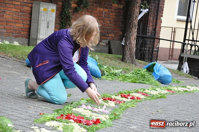 Zdjęcie w galerii na portalu naszraciborz.pl: Skoro świt ruszyli do pracy. Zobacz jak powstają raciborskie kwietne dywany na Boże Ciało wiadomości z regionu