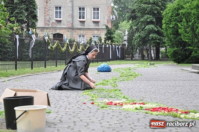 Zdjęcie w galerii na portalu naszraciborz.pl: Skoro świt ruszyli do pracy. Zobacz jak powstają raciborskie kwietne dywany na Boże Ciało wiadomości z regionu