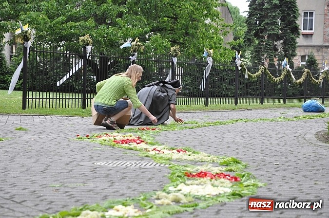 Zdjęcie w galerii na portalu naszraciborz.pl: Skoro świt ruszyli do pracy. Zobacz jak powstają raciborskie kwietne dywany na Boże Ciało wiadomości z regionu