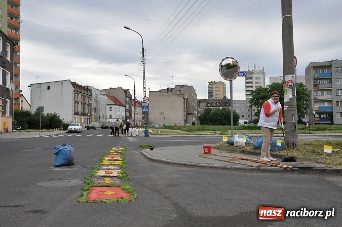 Zdjęcie w galerii na portalu naszraciborz.pl: Skoro świt ruszyli do pracy. Zobacz jak powstają raciborskie kwietne dywany na Boże Ciało wiadomości z regionu