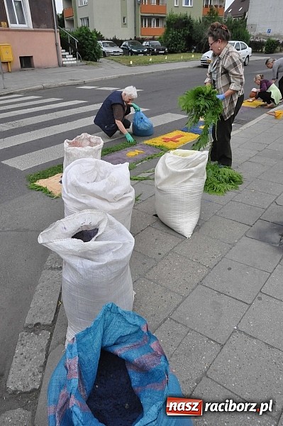 Zdjęcie w galerii na portalu naszraciborz.pl: Skoro świt ruszyli do pracy. Zobacz jak powstają raciborskie kwietne dywany na Boże Ciało wiadomości z regionu