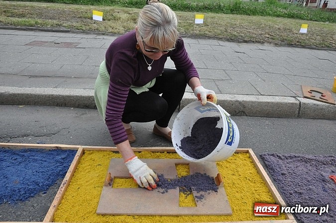 Zdjęcie w galerii na portalu naszraciborz.pl: Skoro świt ruszyli do pracy. Zobacz jak powstają raciborskie kwietne dywany na Boże Ciało wiadomości z regionu