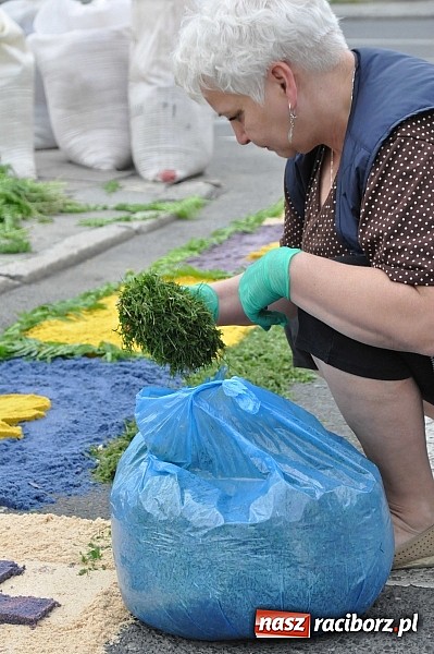 Zdjęcie w galerii na portalu naszraciborz.pl: Skoro świt ruszyli do pracy. Zobacz jak powstają raciborskie kwietne dywany na Boże Ciało wiadomości z regionu