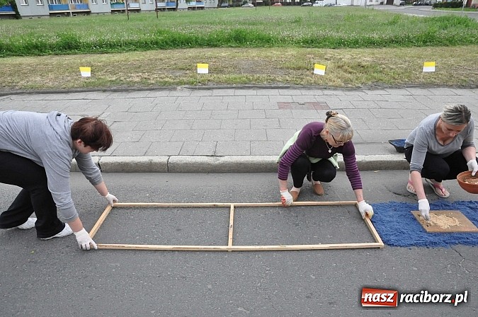 Zdjęcie w galerii na portalu naszraciborz.pl: Skoro świt ruszyli do pracy. Zobacz jak powstają raciborskie kwietne dywany na Boże Ciało wiadomości z regionu