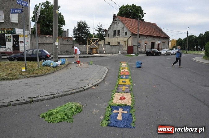 Zdjęcie w galerii na portalu naszraciborz.pl: Skoro świt ruszyli do pracy. Zobacz jak powstają raciborskie kwietne dywany na Boże Ciało wiadomości z regionu