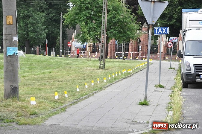 Zdjęcie w galerii na portalu naszraciborz.pl: Skoro świt ruszyli do pracy. Zobacz jak powstają raciborskie kwietne dywany na Boże Ciało wiadomości z regionu