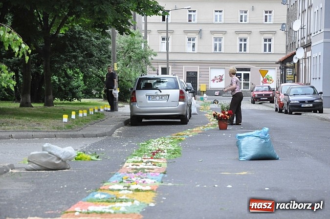 Zdjęcie w galerii na portalu naszraciborz.pl: Skoro świt ruszyli do pracy. Zobacz jak powstają raciborskie kwietne dywany na Boże Ciało wiadomości z regionu