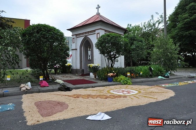 Zdjęcie w galerii na portalu naszraciborz.pl: Skoro świt ruszyli do pracy. Zobacz jak powstają raciborskie kwietne dywany na Boże Ciało wiadomości z regionu