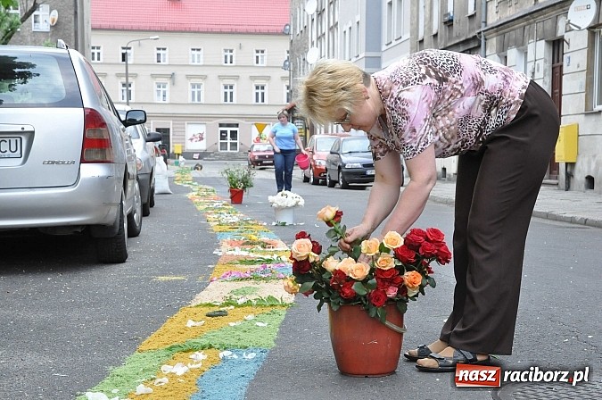 Zdjęcie w galerii na portalu naszraciborz.pl: Skoro świt ruszyli do pracy. Zobacz jak powstają raciborskie kwietne dywany na Boże Ciało wiadomości z regionu