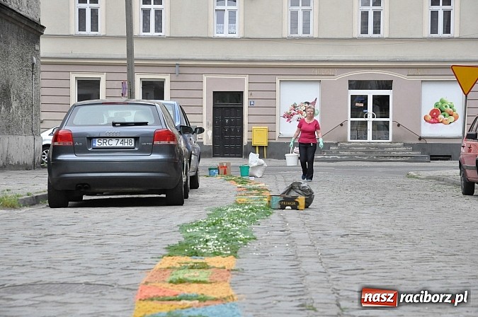 Zdjęcie w galerii na portalu naszraciborz.pl: Skoro świt ruszyli do pracy. Zobacz jak powstają raciborskie kwietne dywany na Boże Ciało wiadomości z regionu
