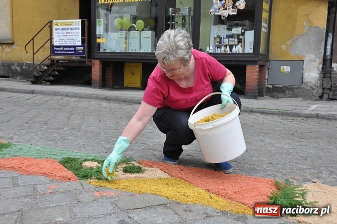 Zdjęcie w galerii na portalu naszraciborz.pl: Skoro świt ruszyli do pracy. Zobacz jak powstają raciborskie kwietne dywany na Boże Ciało wiadomości z regionu