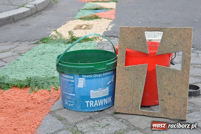 Zdjęcie w galerii na portalu naszraciborz.pl: Skoro świt ruszyli do pracy. Zobacz jak powstają raciborskie kwietne dywany na Boże Ciało wiadomości z regionu