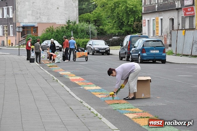 Zdjęcie w galerii na portalu naszraciborz.pl: Skoro świt ruszyli do pracy. Zobacz jak powstają raciborskie kwietne dywany na Boże Ciało wiadomości z regionu