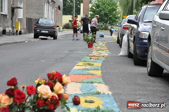 Zdjęcie w galerii na portalu naszraciborz.pl: Skoro świt ruszyli do pracy. Zobacz jak powstają raciborskie kwietne dywany na Boże Ciało wiadomości z regionu