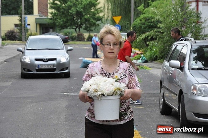 Zdjęcie w galerii na portalu naszraciborz.pl: Skoro świt ruszyli do pracy. Zobacz jak powstają raciborskie kwietne dywany na Boże Ciało wiadomości z regionu