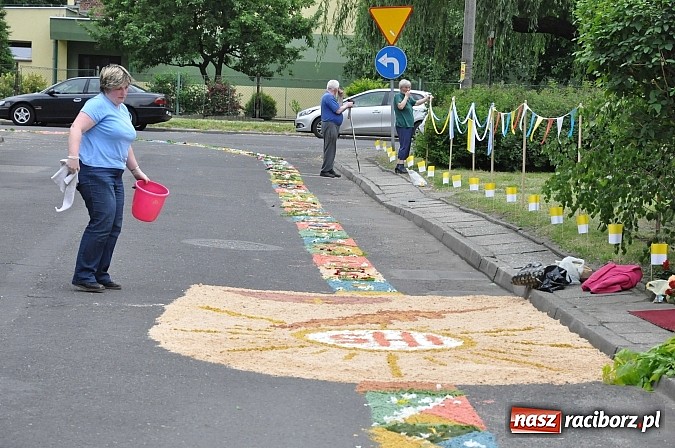 Zdjęcie w galerii na portalu naszraciborz.pl: Skoro świt ruszyli do pracy. Zobacz jak powstają raciborskie kwietne dywany na Boże Ciało wiadomości z regionu