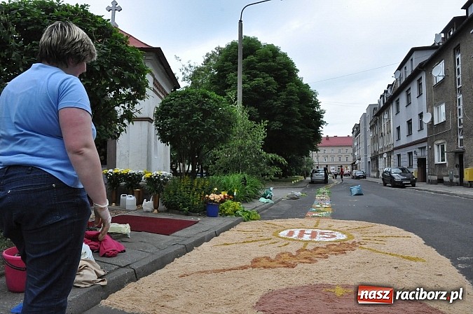 Zdjęcie w galerii na portalu naszraciborz.pl: Skoro świt ruszyli do pracy. Zobacz jak powstają raciborskie kwietne dywany na Boże Ciało wiadomości z regionu