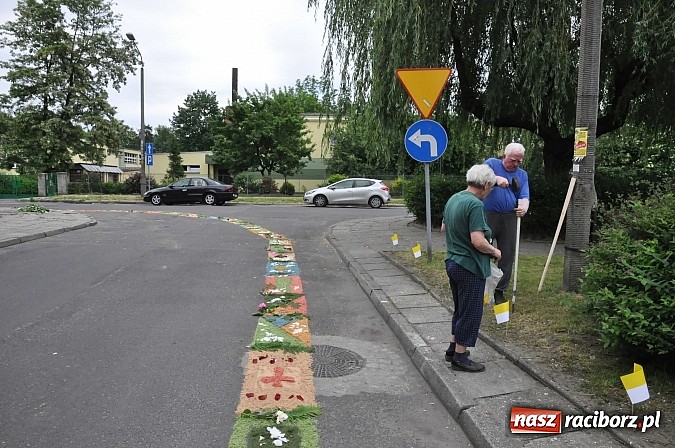 Zdjęcie w galerii na portalu naszraciborz.pl: Skoro świt ruszyli do pracy. Zobacz jak powstają raciborskie kwietne dywany na Boże Ciało wiadomości z regionu