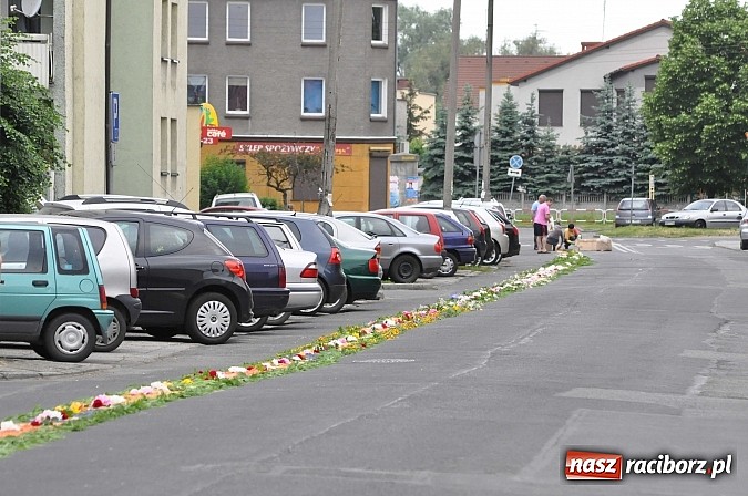 Zdjęcie w galerii na portalu naszraciborz.pl: Skoro świt ruszyli do pracy. Zobacz jak powstają raciborskie kwietne dywany na Boże Ciało wiadomości z regionu
