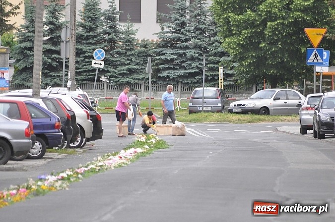 Zdjęcie w galerii na portalu naszraciborz.pl: Skoro świt ruszyli do pracy. Zobacz jak powstają raciborskie kwietne dywany na Boże Ciało wiadomości z regionu