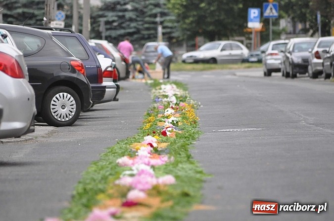 Zdjęcie w galerii na portalu naszraciborz.pl: Skoro świt ruszyli do pracy. Zobacz jak powstają raciborskie kwietne dywany na Boże Ciało wiadomości z regionu