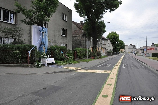 Zdjęcie w galerii na portalu naszraciborz.pl: Skoro świt ruszyli do pracy. Zobacz jak powstają raciborskie kwietne dywany na Boże Ciało wiadomości z regionu