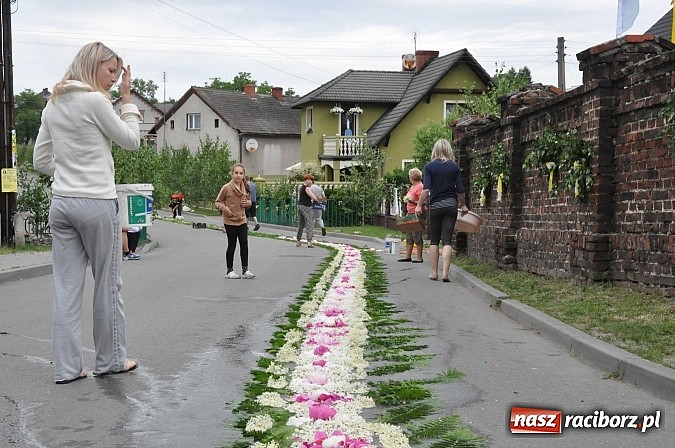 Zdjęcie w galerii na portalu naszraciborz.pl: Skoro świt ruszyli do pracy. Zobacz jak powstają raciborskie kwietne dywany na Boże Ciało wiadomości z regionu