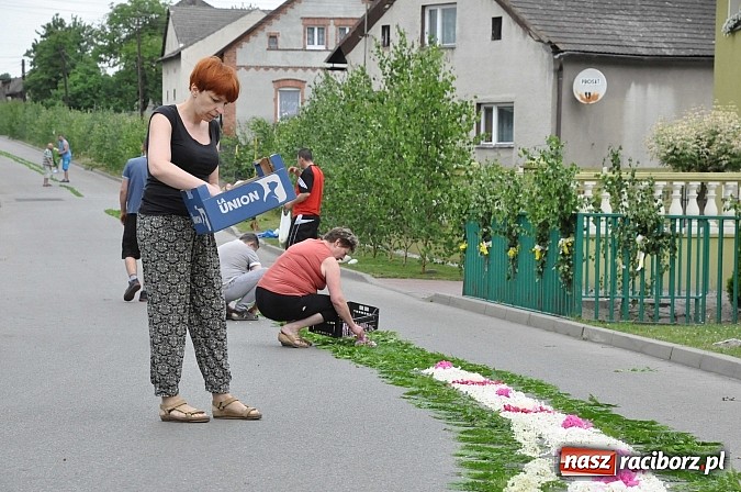 Zdjęcie w galerii na portalu naszraciborz.pl: Skoro świt ruszyli do pracy. Zobacz jak powstają raciborskie kwietne dywany na Boże Ciało wiadomości z regionu