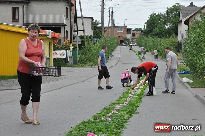 Zdjęcie w galerii na portalu naszraciborz.pl: Skoro świt ruszyli do pracy. Zobacz jak powstają raciborskie kwietne dywany na Boże Ciało wiadomości z regionu
