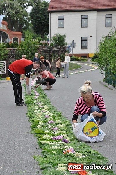 Zdjęcie w galerii na portalu naszraciborz.pl: Skoro świt ruszyli do pracy. Zobacz jak powstają raciborskie kwietne dywany na Boże Ciało wiadomości z regionu