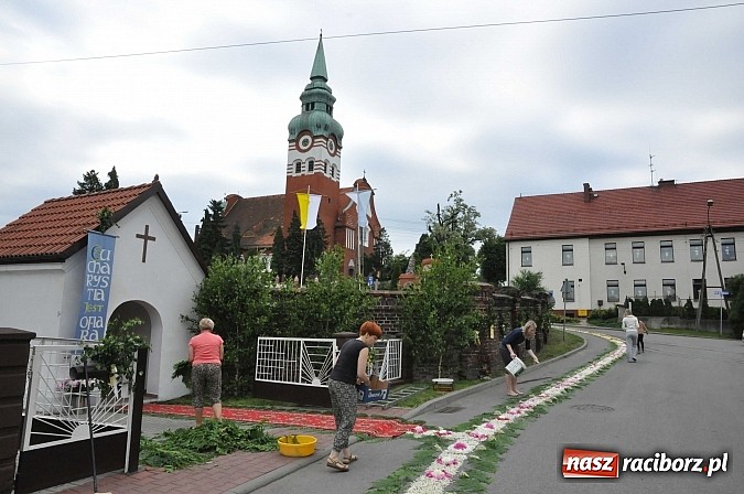 Zdjęcie w galerii na portalu naszraciborz.pl: Skoro świt ruszyli do pracy. Zobacz jak powstają raciborskie kwietne dywany na Boże Ciało wiadomości z regionu