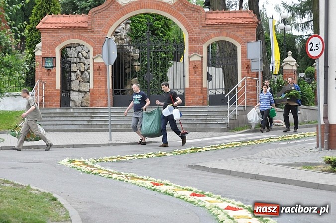 Zdjęcie w galerii na portalu naszraciborz.pl: Skoro świt ruszyli do pracy. Zobacz jak powstają raciborskie kwietne dywany na Boże Ciało wiadomości z regionu
