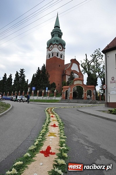 Zdjęcie w galerii na portalu naszraciborz.pl: Skoro świt ruszyli do pracy. Zobacz jak powstają raciborskie kwietne dywany na Boże Ciało wiadomości z regionu