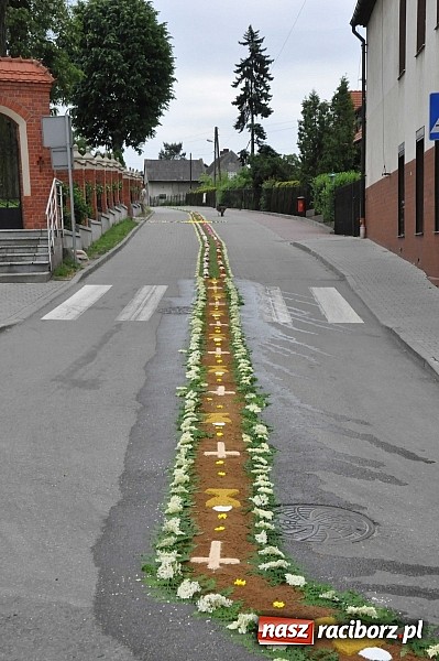 Zdjęcie w galerii na portalu naszraciborz.pl: Skoro świt ruszyli do pracy. Zobacz jak powstają raciborskie kwietne dywany na Boże Ciało wiadomości z regionu