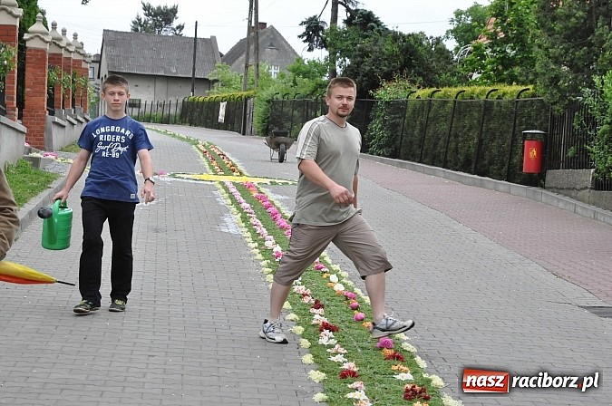 Zdjęcie w galerii na portalu naszraciborz.pl: Skoro świt ruszyli do pracy. Zobacz jak powstają raciborskie kwietne dywany na Boże Ciało wiadomości z regionu