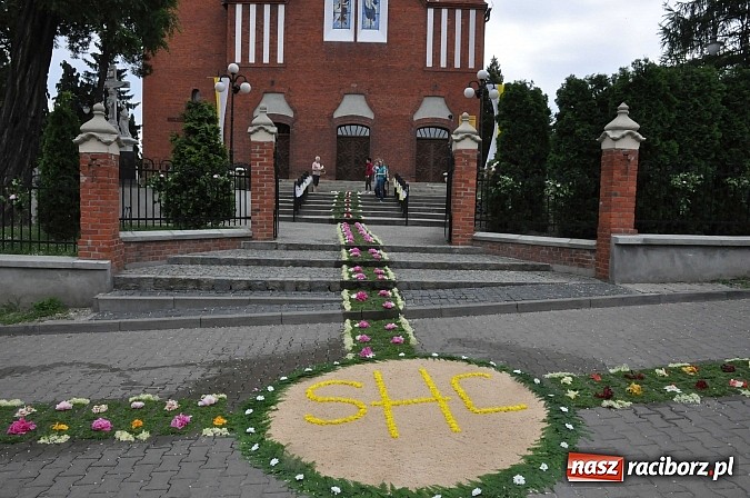 Zdjęcie w galerii na portalu naszraciborz.pl: Skoro świt ruszyli do pracy. Zobacz jak powstają raciborskie kwietne dywany na Boże Ciało wiadomości z regionu