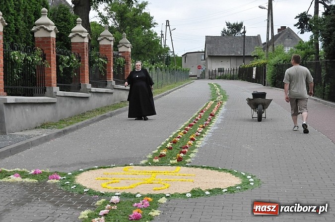 Zdjęcie w galerii na portalu naszraciborz.pl: Skoro świt ruszyli do pracy. Zobacz jak powstają raciborskie kwietne dywany na Boże Ciało wiadomości z regionu