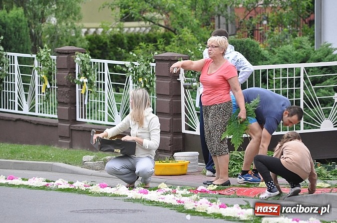 Zdjęcie w galerii na portalu naszraciborz.pl: Skoro świt ruszyli do pracy. Zobacz jak powstają raciborskie kwietne dywany na Boże Ciało wiadomości z regionu