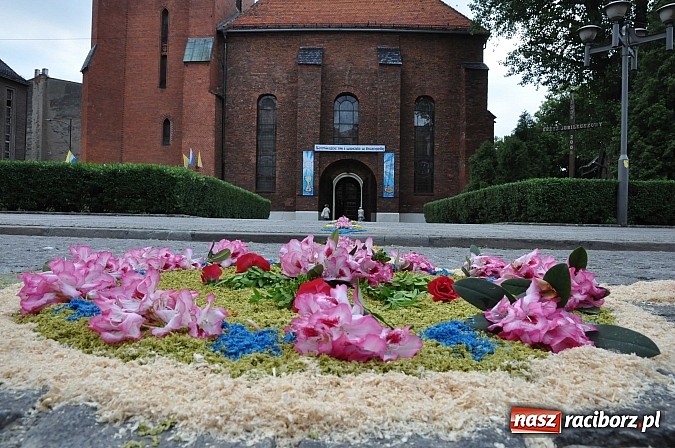 Zdjęcie w galerii na portalu naszraciborz.pl: Skoro świt ruszyli do pracy. Zobacz jak powstają raciborskie kwietne dywany na Boże Ciało wiadomości z regionu